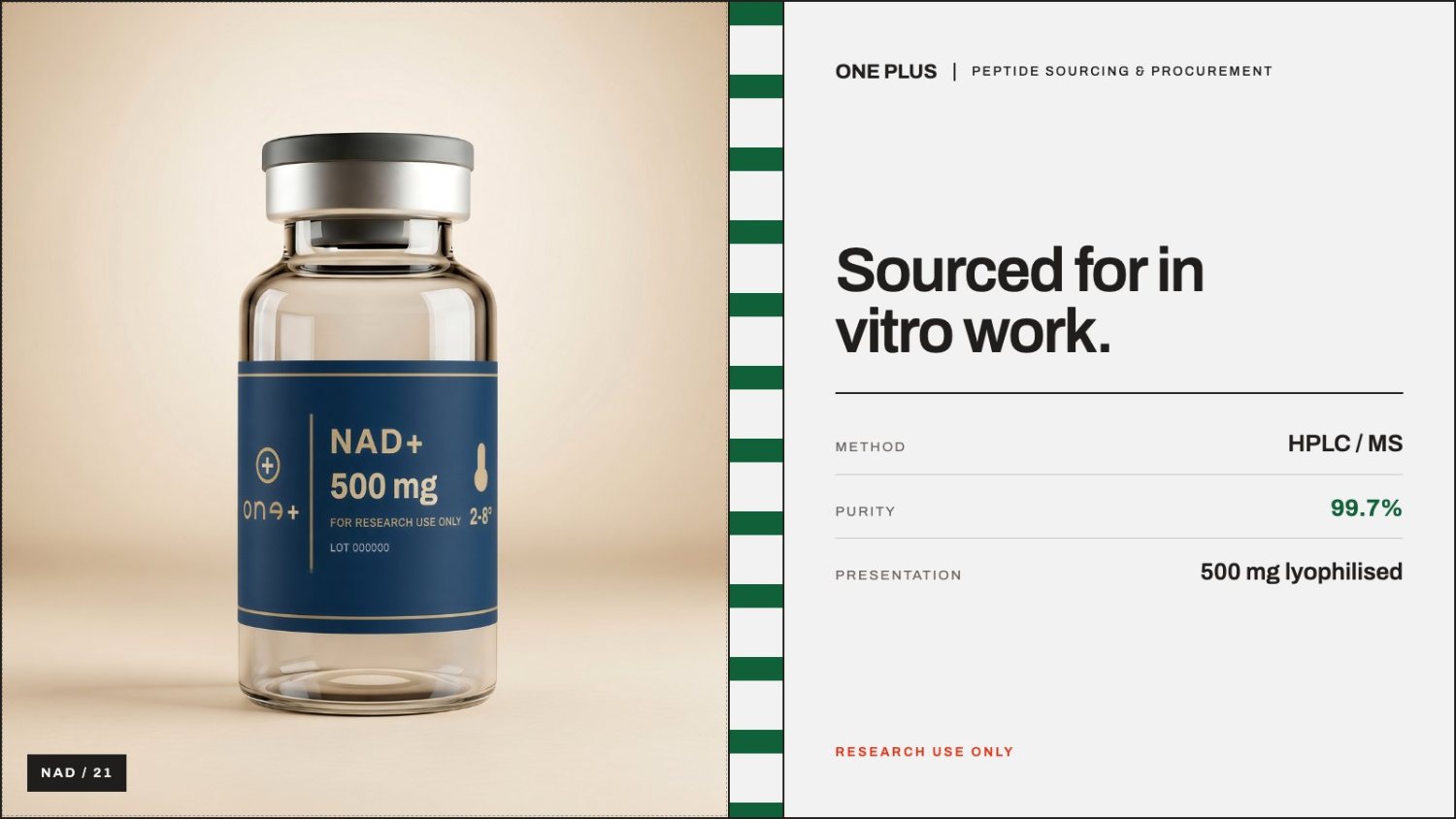 Editorial illustration for NAD+: A Scientific Guide for Researchers