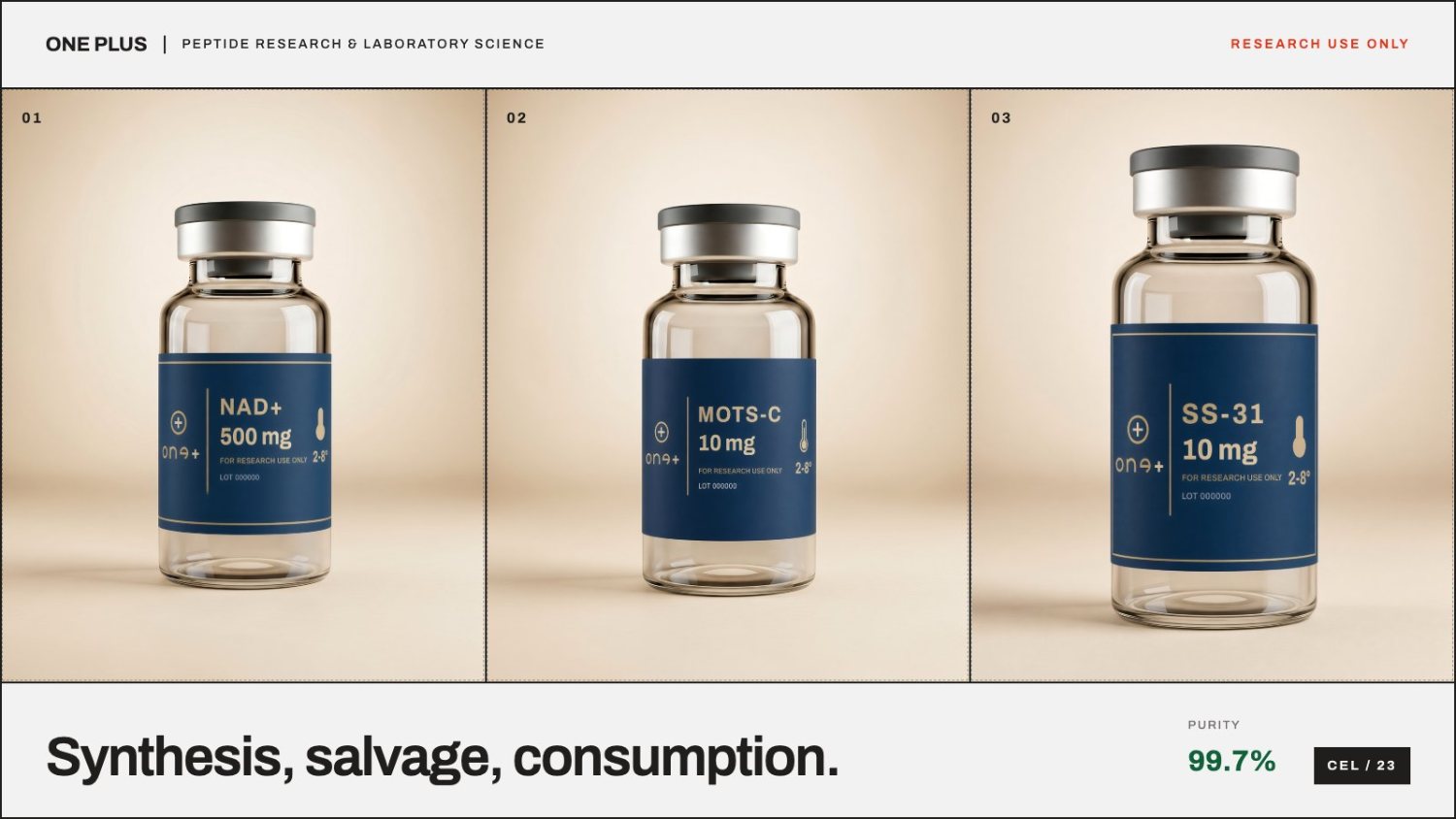 Editorial illustration for NAD+ in Cell Research: Biosynthesis & Salvage