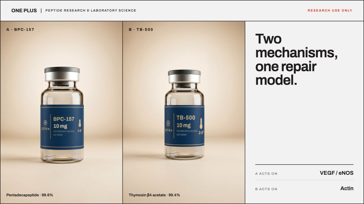 Editorial illustration for BPC 157 TB 500 Research Comparison